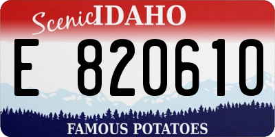 ID license plate E820610