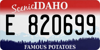 ID license plate E820699