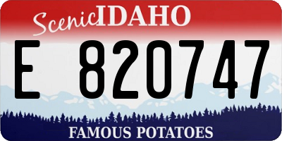 ID license plate E820747
