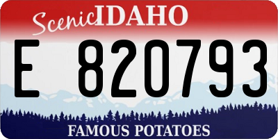 ID license plate E820793