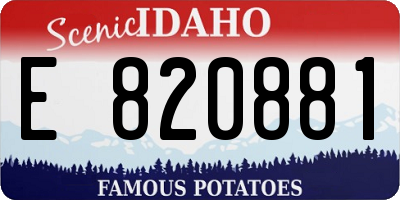 ID license plate E820881