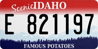 ID license plate E821197