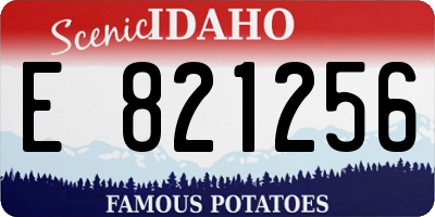 ID license plate E821256