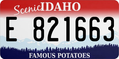 ID license plate E821663