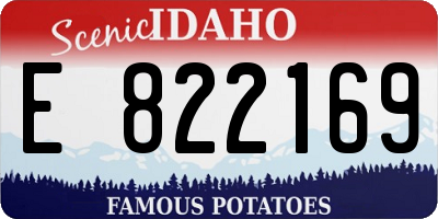 ID license plate E822169