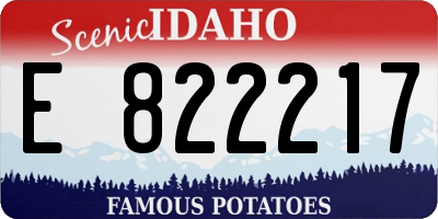 ID license plate E822217