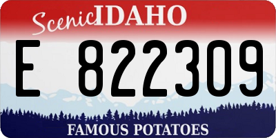 ID license plate E822309