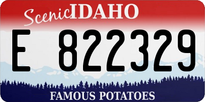 ID license plate E822329