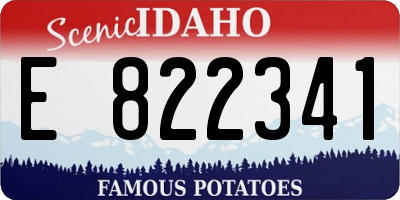ID license plate E822341