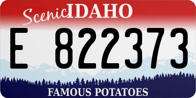 ID license plate E822373