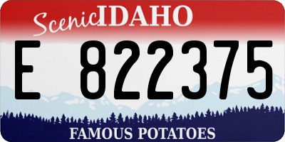 ID license plate E822375