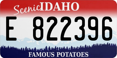ID license plate E822396