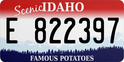 ID license plate E822397