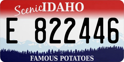 ID license plate E822446