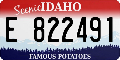 ID license plate E822491
