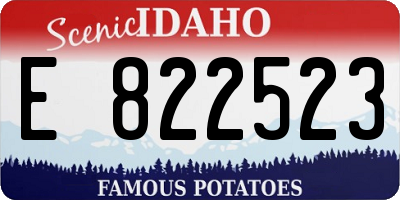 ID license plate E822523