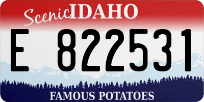 ID license plate E822531