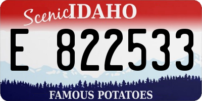 ID license plate E822533