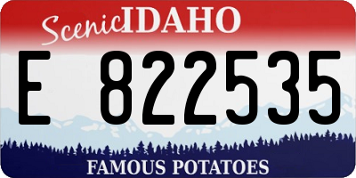 ID license plate E822535