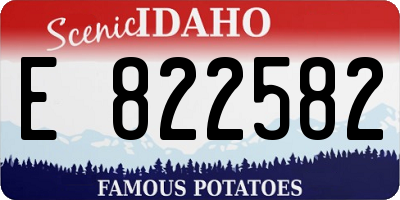 ID license plate E822582