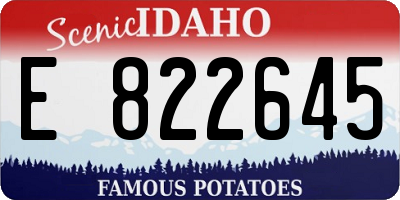 ID license plate E822645