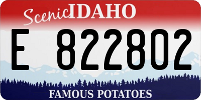 ID license plate E822802