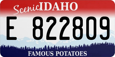 ID license plate E822809