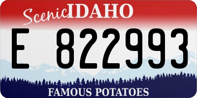 ID license plate E822993