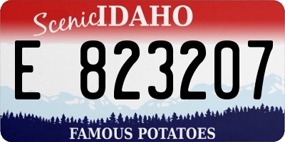 ID license plate E823207