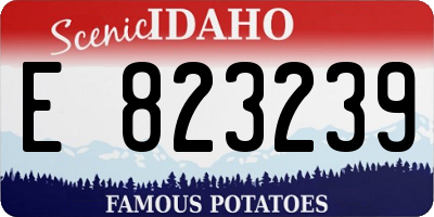 ID license plate E823239