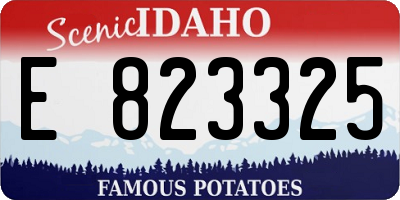 ID license plate E823325