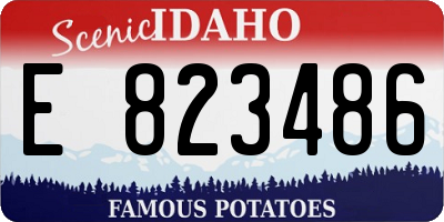 ID license plate E823486