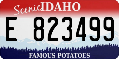 ID license plate E823499