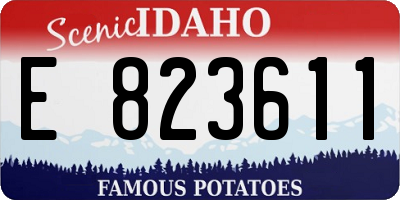 ID license plate E823611
