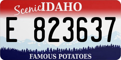 ID license plate E823637