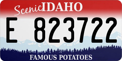 ID license plate E823722