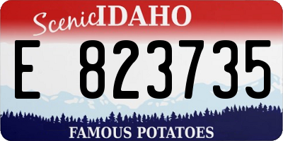 ID license plate E823735