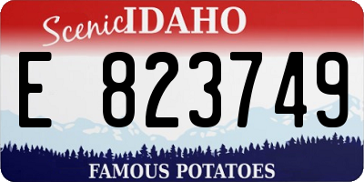 ID license plate E823749