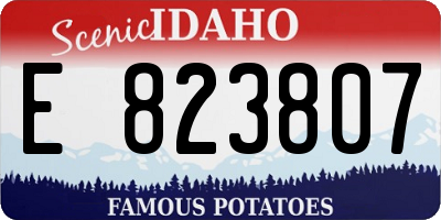 ID license plate E823807