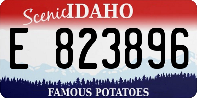 ID license plate E823896