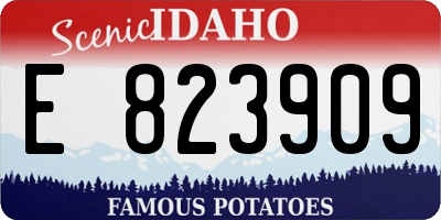 ID license plate E823909