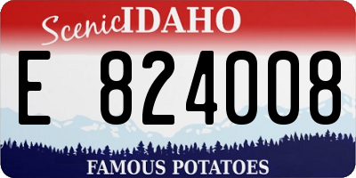 ID license plate E824008