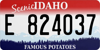 ID license plate E824037
