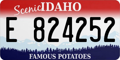 ID license plate E824252