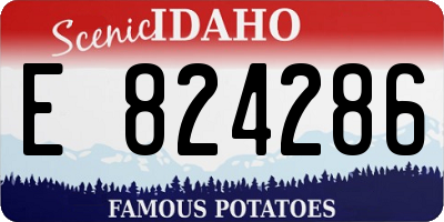 ID license plate E824286