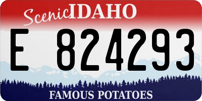 ID license plate E824293