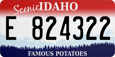 ID license plate E824322