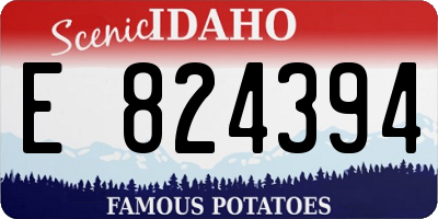 ID license plate E824394