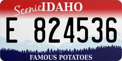 ID license plate E824536