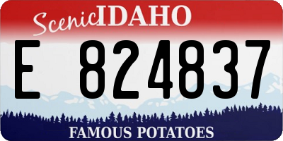 ID license plate E824837